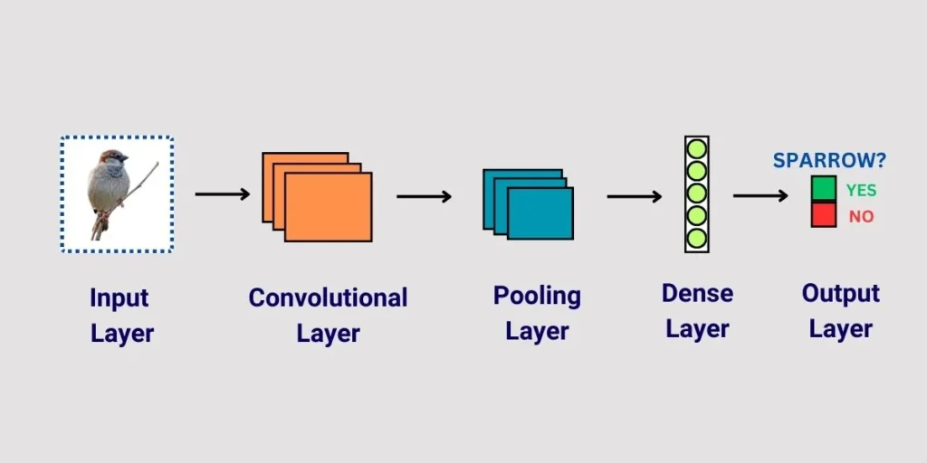 Convolutional Neural Network